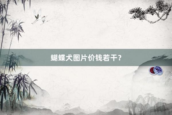 蝴蝶犬图片价钱若干？